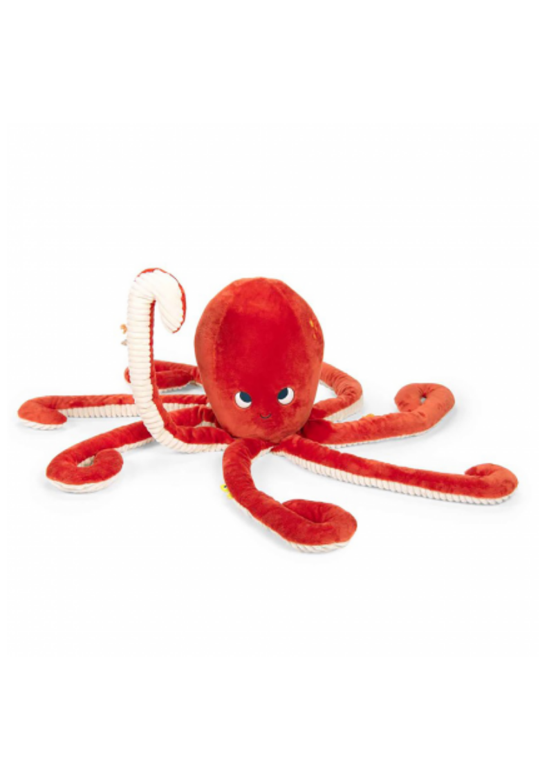 Pulpo gigante