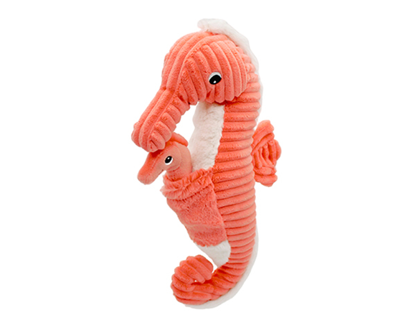 Caballito de mar mamay bebe. Coral