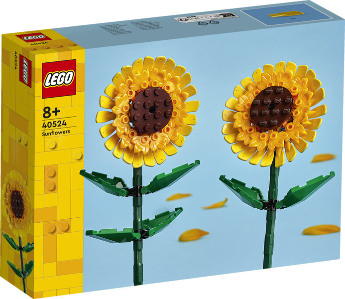 40524 Girasoles V29