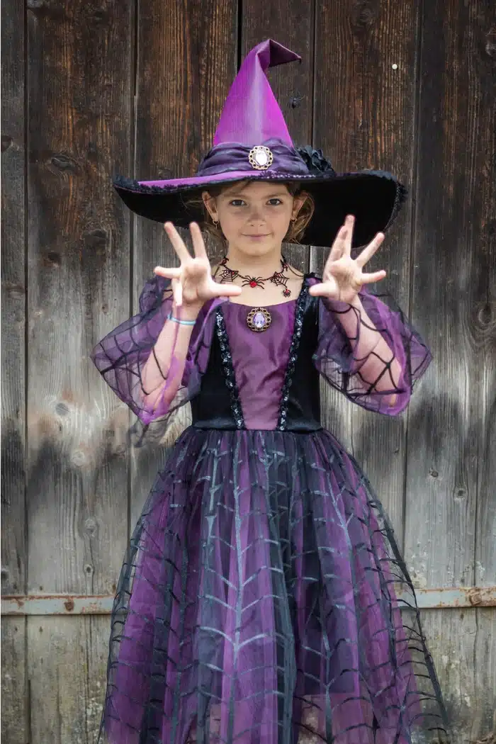 Amethyst the Spider Witch w/Hat Size 3-4