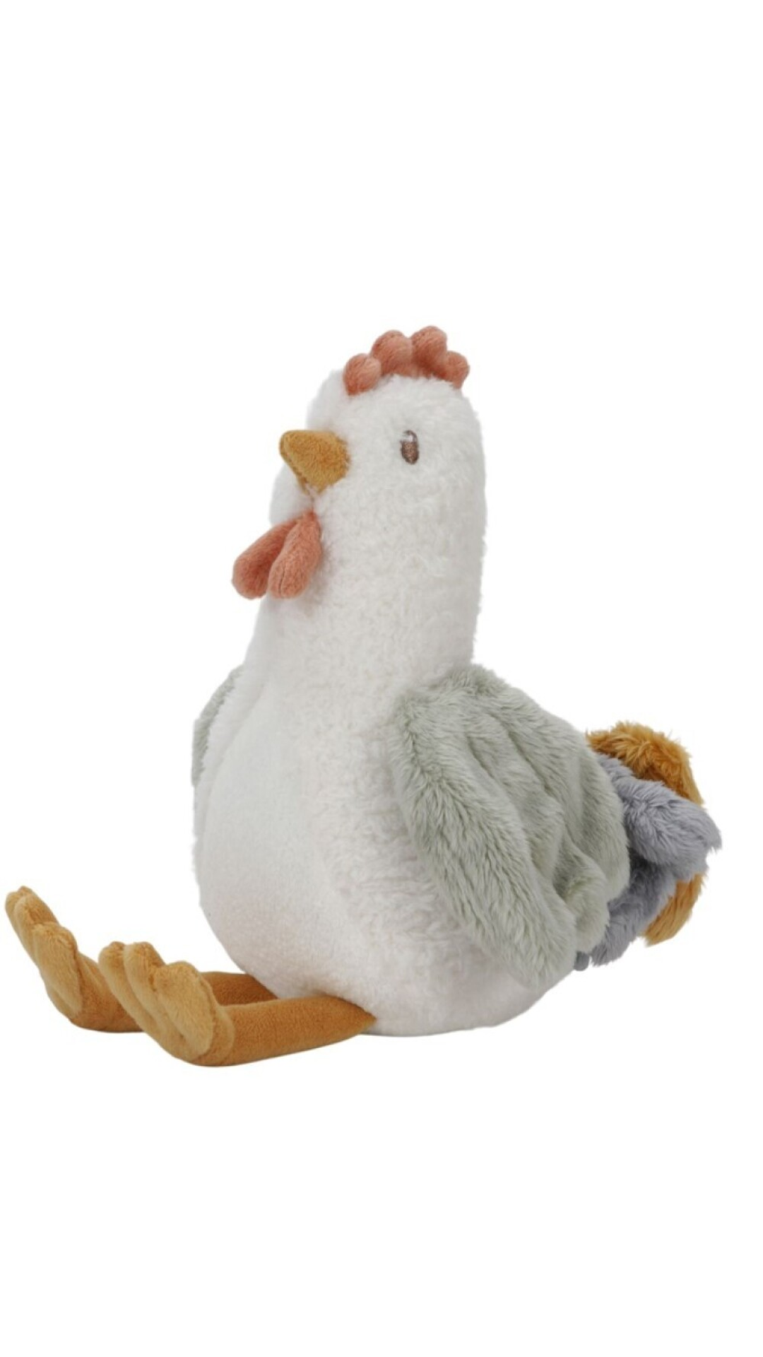 Gallina Little dutch