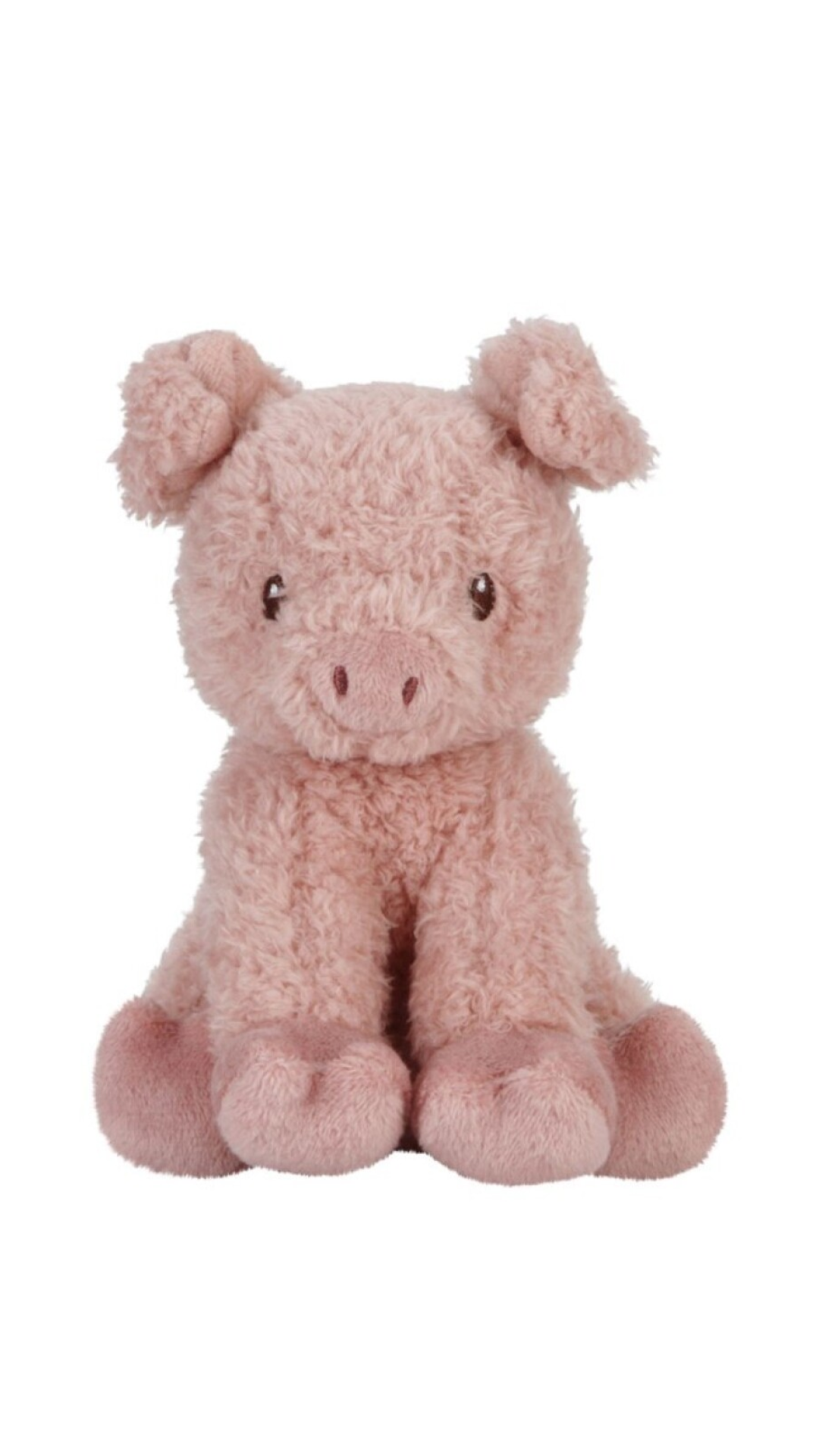 Cerdito Little dutch